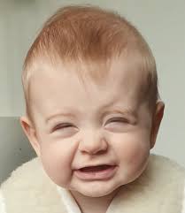 Cat Hill (@catandjeremy) • Instagram photos and videos