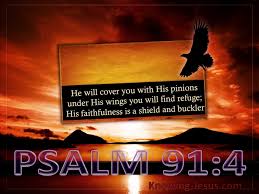 Psalm 91 king james version. What Does Psalm 91 4 Mean