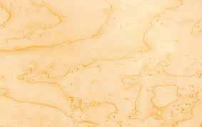 Birdseye Maple Oak Wood Floors Lumbers Wood Floors