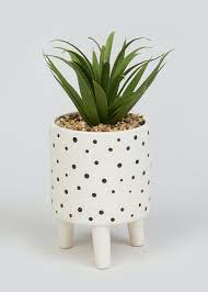 Succulent In Polka Dot Ceramic Planter 24cm X 11cm X 11cm White Ceramic Planters Planters Living Room Accessories Decor