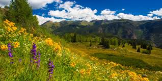 Find what to do today or anytime in june. 15 Reasons People Are Making The Move To Colorful Colorado Thinking About Moving To Colorado