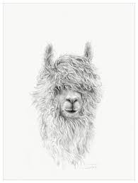 Llama Draw You A Portrait Crimson Wall Art Llama Drawing Animal Paintings Llama Pictures