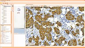One of the most popular viewers worldwide. Free Viewer Software Distributable Viewer