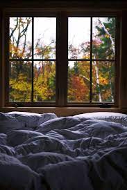 Pin By Sasha On I Ll Be Here One Day Cozy Fall Cozy House Windows