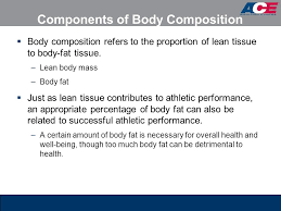 Ace Personal Trainer Manual 4th Edition Chapter 8 Ppt
