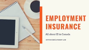 The employment insurance system (eis), which will come into effect in 1 january 2018, will not only provide a safety net for retrenched workers but also valuable support services. All About Employment Insurance Ei Dutton Employment Law