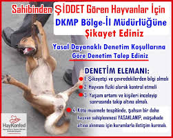 27 Sahipli Hayvana Sahibinden Kotu Muamele Eziyet Vahset Durumunda Dkmp Bolge Ve Il Mudurlugune Sikayet Edip Yasal Dayanakli Denetim Uygulama Kosullarini Uygulayarak Denetim Yapmalarini Talep Ediniz Haykonfed Hayvanlarin Yasam Haklari