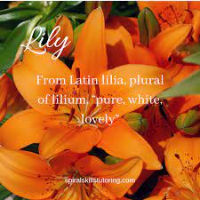 Pin By Spiral Skills Tutoring And Aca On Etymology Memes Lily Lilium Plurals