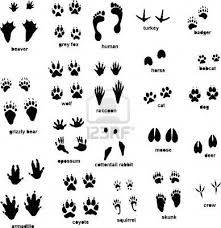 Various Animal Tracks Animal Tracks Animal Footprints Hunting Tattoos