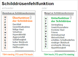 Schilddrusenfehlfunktion Uberfunktion Oder Unterfunktion Der Schilddruse Schilddrusenguide Der Unabhangige Internetwegweiser Zu Erkrankungen Der Schilddruse