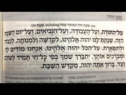 Image result for Baptorhachis