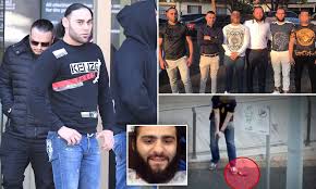 Hamze was treated at the scene before being. Inside The Alameddine Crime Crew Wreaking Havoc Across Sydney S Western Suburbs Daily Mail Online