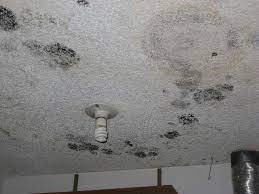 how to keep out mold on bathroom ceiling mold on bathroom ceiling mold in bathroom bathroom ceiling