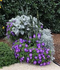 Slideshow Details Container Plants Plants Container Gardening Flowers