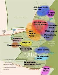 We did not find results for: Maps Of Sabi Sand Coalitions Males And Prides