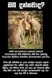 We did not find results for: Facebook