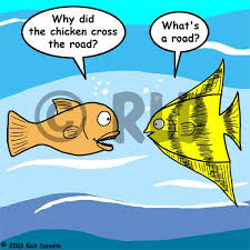 Fish Why Did The Chicken Cross The Road Joke Jokes Anti Jokes Jokes Quotes