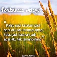 Di indonesia sendiri padi merupakan makanan utama bagi seluruh masyarakat dan biasanya di selingi dengan sayuran sebagai pelengkap. Facebook