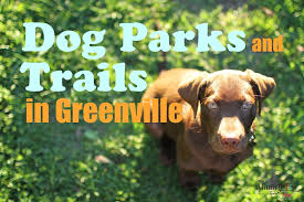 dog parks and dog friendly trails