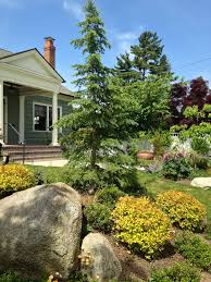 Pnw Native Inspired Garden In Summer Seattle Gretchen Bauer Design Small City Garden Native Plants Plants