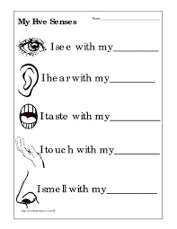 the five senses worksheets 99worksheets