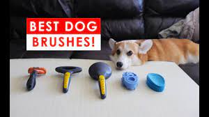 You Asked Is It Good To Brush Your Dog Everyday Mi Dog Guide