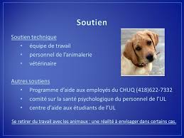 Sa fonction de conseiller de clientèle est primordiale. Formation Sst En Animalerie Ppt Video Online Telecharger