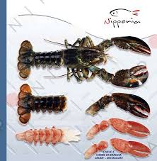 We did not find results for: Ise Ebi Astice Canadese Crudo Sgusciato