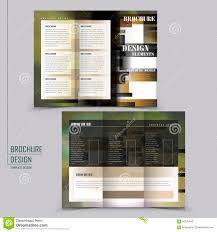 Abstract Tri Fold Brochure Template Design Stock Vector