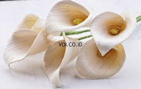 We did not find results for: 11 Ide Kerajinan Dari Kulit Jagung Cara Membuat Dan Gambar