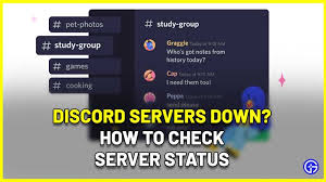 Enter your username in the black box provided. Discord Not Working How To Check Discord Server Status