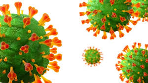 Tetracycline crosses over the outer membrane of gram negative bacteria through outer membrane protein f and outer membrane protein c channels, as positively charged cation (mostly. Gsk And Vir Biotechnology Announce Sotrovimab Vir 7831 Receives Emergency Use Authorization From The Us Fda For Treatment Of Mild To Moderate Covid 19 In High Risk Adults And Paediatric Patients Gsk