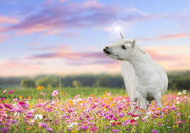 By marge kunde march 12, 2021. Unicorn In Flower Field Scene Realistic Unicorn Backdrop Digital Backdrop Download Digital Backdrops Backdrops Flower Field