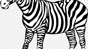 Although the zebra painting pattern is not colored in bright colors, high precision and skill are. Colouring Pages Coloring Book Zebra Child Zebra Mammal Child Png Pngegg