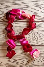 Get all kind of your name alphabets from here such as bracelet alphabets,chain. Letter R Roses Photos Free Royalty Free Stock Photos From Dreamstime