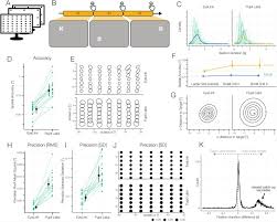Powercenter provides a platform where we can execute all significant data integration projects and take an initiate all over the enterprises. A New Comprehensive Eye Tracking Test Battery Concurrently Evaluating The Pupil Labs Glasses And The Eyelink 1000 Biorxiv