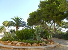 We did not find results for: Plantas Para Jardines Mediterraneos