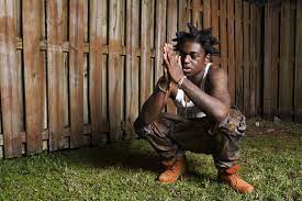 Kodak Black Project Baby 2 Ray Yau