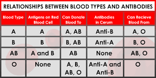 15 Faithful Abo And Rh Blood Typing Chart