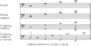 Notation Vienna Symphonic Library