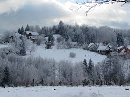 From mapcarta, the open map. Nacionalni Park Tara Picture Of Tara National Park Central Serbia Tripadvisor