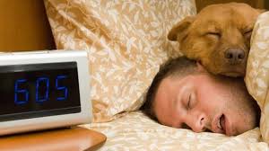 Image result for picture of a man sleeping on a bed