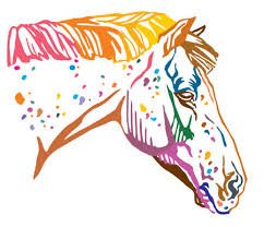 So you're writing a fantasy novel geared toward teenage girls and you need a now we've got three horses who are essentially different shades of black and despair who's rocking. Appaloosa Horse Lizenzfreie Illustrationen Und Vektoren Stocklib