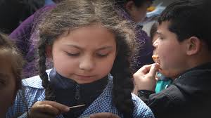 Corporación Municipal de Peñalolén