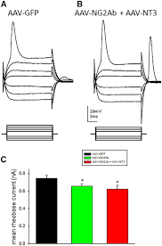 Image result for White 1996 AAV