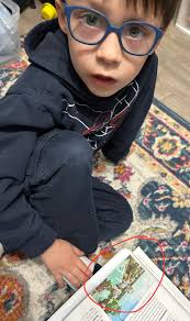 Can you ride the Skyliner to the Boardwalk stop and back?