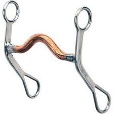 6 Common Western Horse Riding Bits