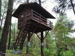 Pohon taman dayu sendiri merupakan menurut pengunjung yang pernah menginap di rumah pohon taman dayu, anda perlu membayar sewa kamar dengan harga rp300.000 per. Rumah Pohon Taman Dayu