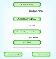 Injury to kidney cells can be lethal or sublethal. Pathophysiology Of Acute Renal Failure In Flow Chart Bambu