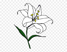 Free printable lily coloring pages. Easter Lily Clipart Free Tiger Lily Coloring Pages Free Transparent Png Clipart Images Download